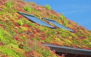 Buttonoak living roof systems