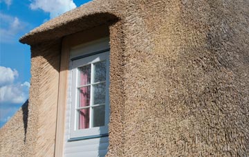 Buttonoak thatch roof disadvantages